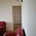 فندق مبيت وإفطار Backpackers 3*
